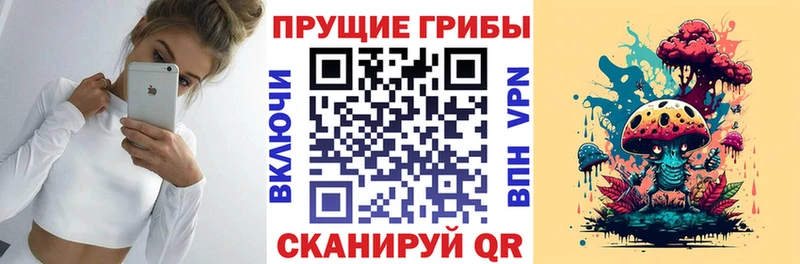 Галлюциногенные грибы мицелий  Грязовец 